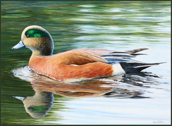 Wigeon Drake Enamel Mug
