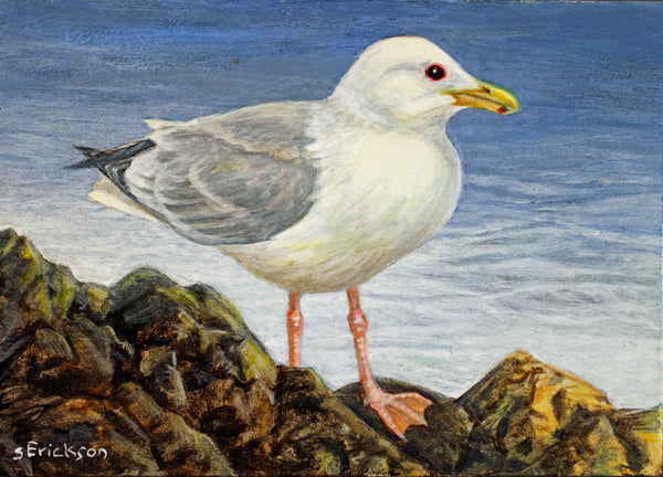 Seagull Miniature Painting