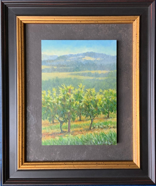 Vineyard View