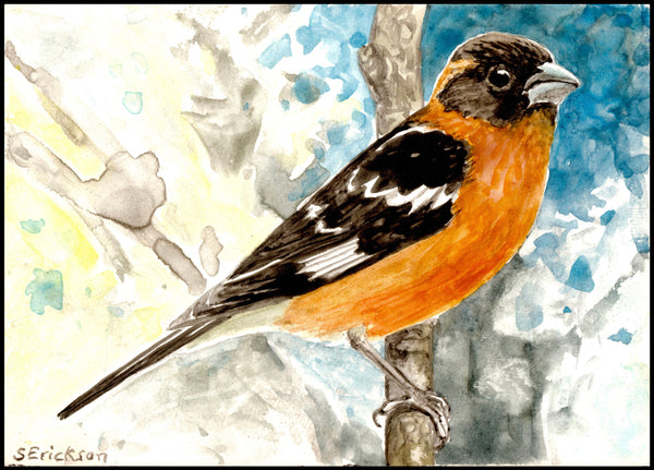 Black Headed Grosbeak Ceramic Mug