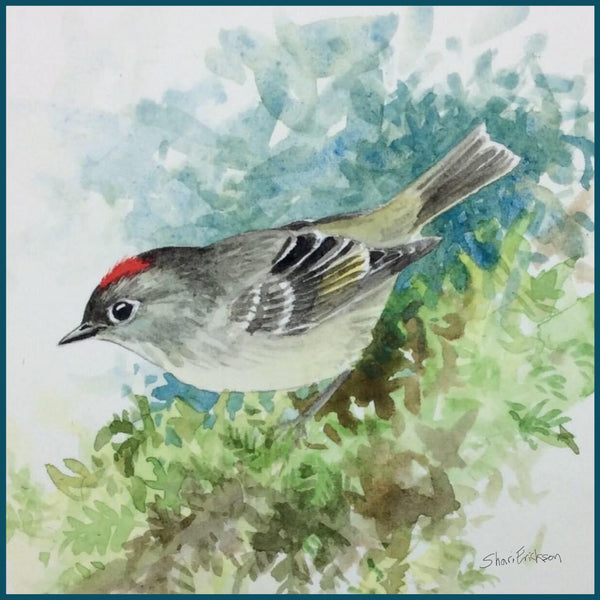 Ruby Crowned Kinglet Enamel Mug