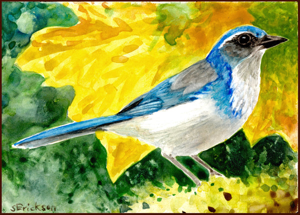 Scrub Jay Ceramic Mug
