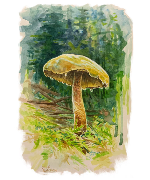 Mushroom Watercolor T-Shirt