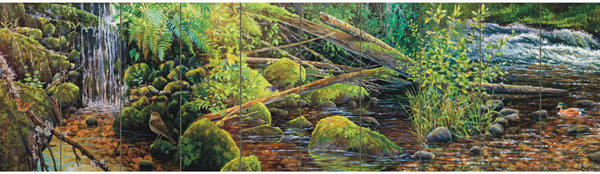 Watershed Mural