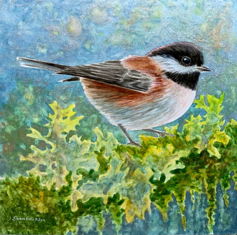 Chestnut Backed Chickadee - Sold