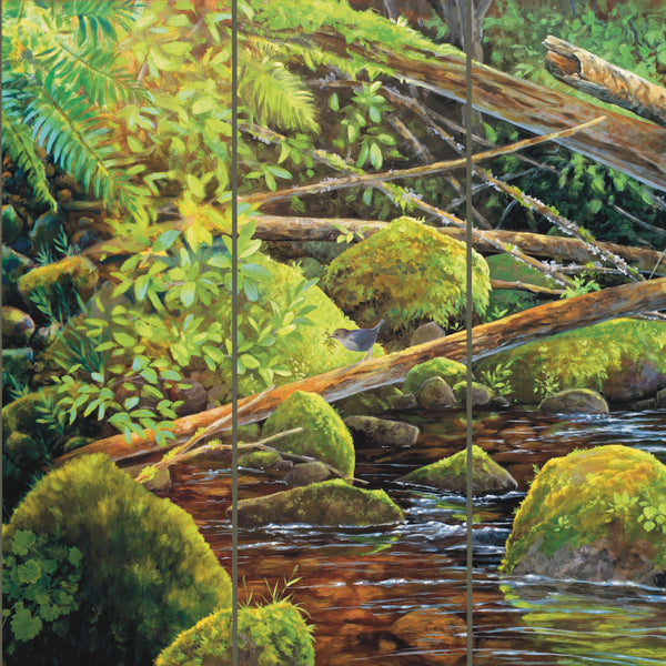 Watershed Mural