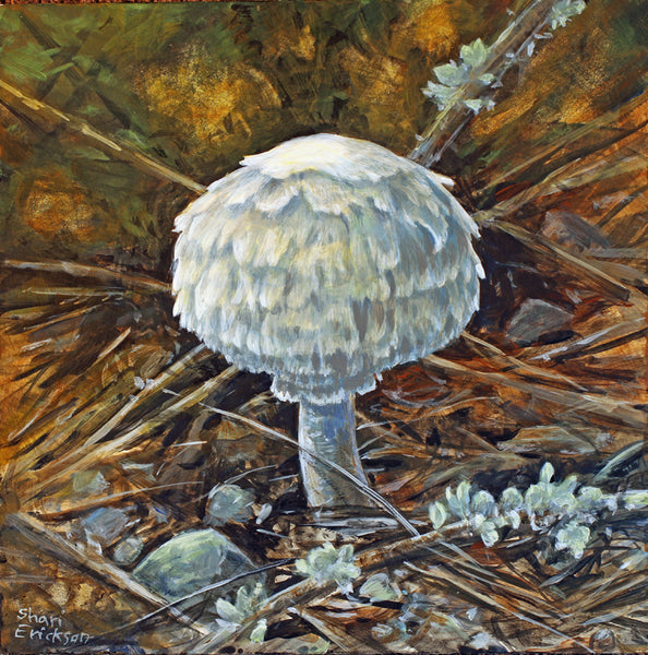 Hidden Mushroom Miniature Painting