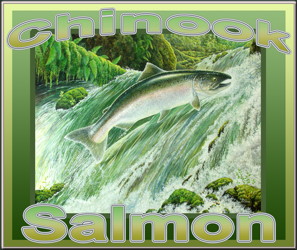 Chinook Salmon T-Shirt