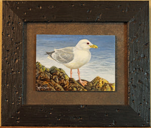 Seagull Miniature Painting
