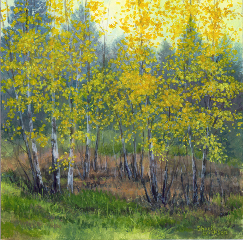 Birches Acrylic Painting